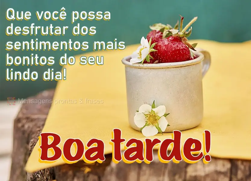 Que você possa desfrutar dos sentimentos mais bonitos do seu lindo dia! Boa tarde! 