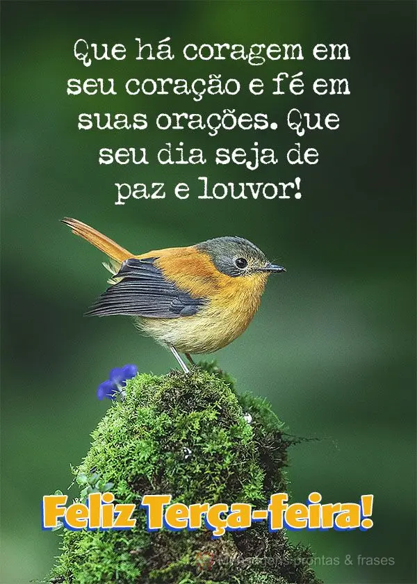 Que haja coragem em seu coração e fé em suas orações. Que seu dia seja de paz e louvor! Feliz Terça-feira!