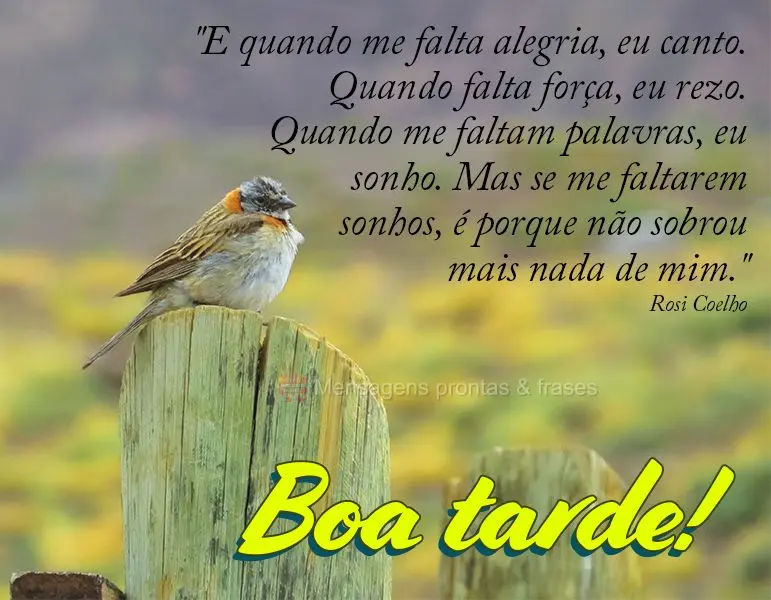 "E quando me falta alegria, eu canto. Quando falta força, eu rezo. Quando me faltam palavras, eu sonho. Mas se me faltarem sonhos, é porque não sobrou...
