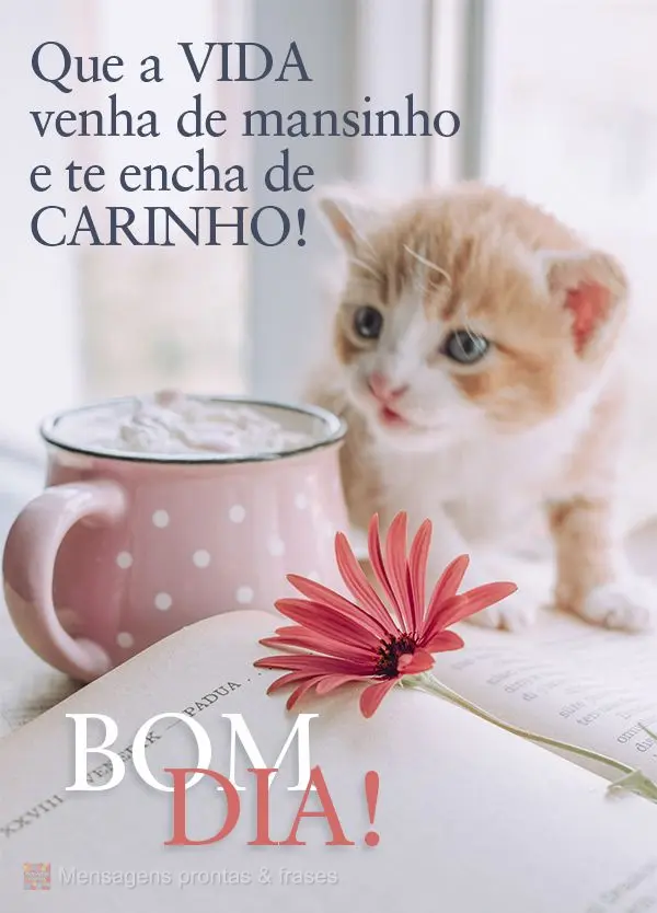 Mensagens prontas & Frases para status (Novos) - Página 285