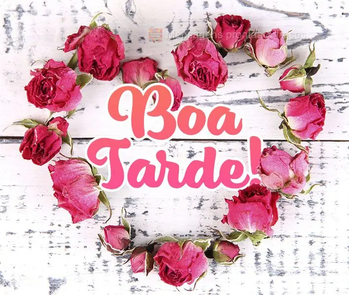 Boa tarde!