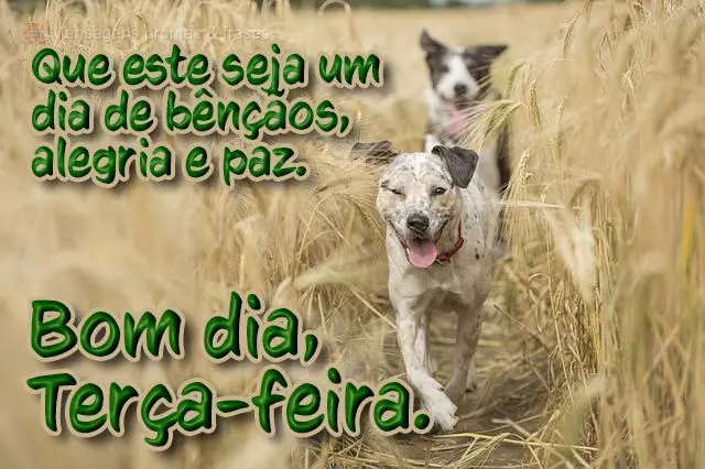  Que este seja um dia de bênçãos, alegrias e paz.
 Bom dia, terça-feira.