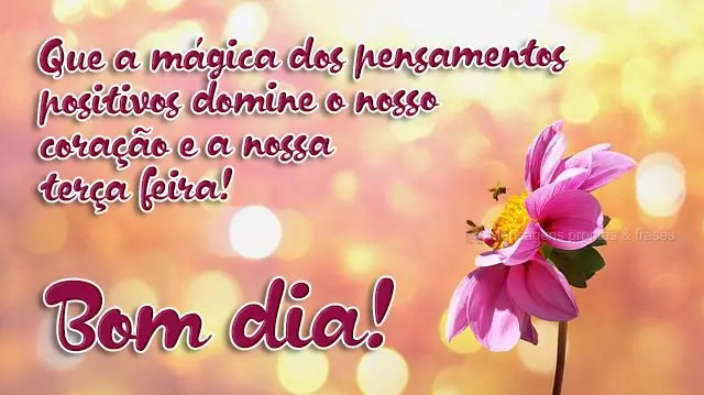 Que a mágica dos pensamentos positivos domine o nosso coração e a nossa terça-feira! Bom dia!

