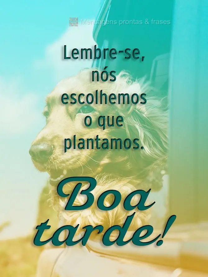  Lembre-se, nós escolhemos o que plantamos. 
 Boa tarde!