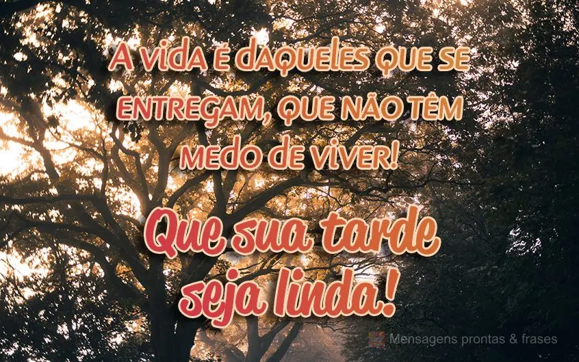 A vida é daqueles que se entregam, que não têm medo de viver! 
 Que sua tarde seja linda! 