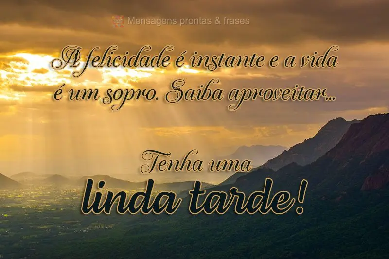 A felicidade é instante e a vida é um sopro. Saiba aproveitar...  Tenha uma linda tarde!