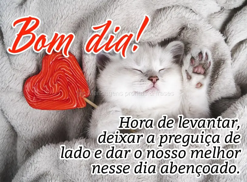 Bom dia (Mais compartilhados) - Página 71