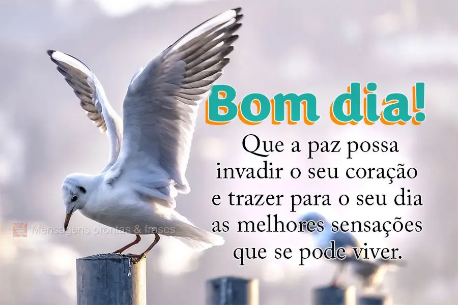 Bom dia (Mais compartilhados) - Página 33