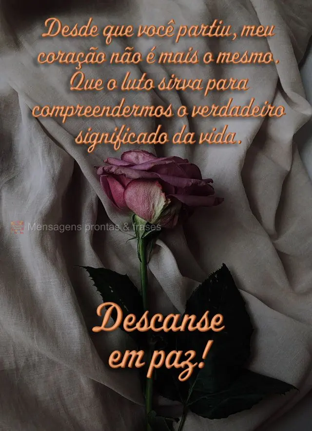 Desde que você partiu, meu coração não é mais o mesmo. Que o luto sirva para compreendermos o verdadeiro significado da vida.  Descanse em paz!