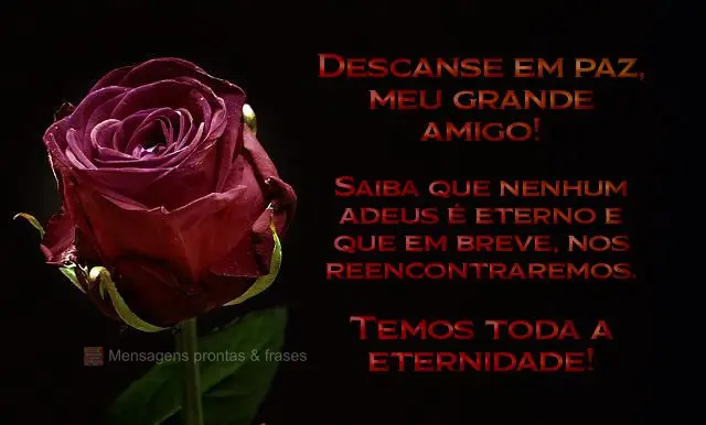 Descanse em paz, meu grande amigo! Saiba que nenhum adeus é eterno e que em breve, nos reencontraremos. Temos toda a eternidade!
