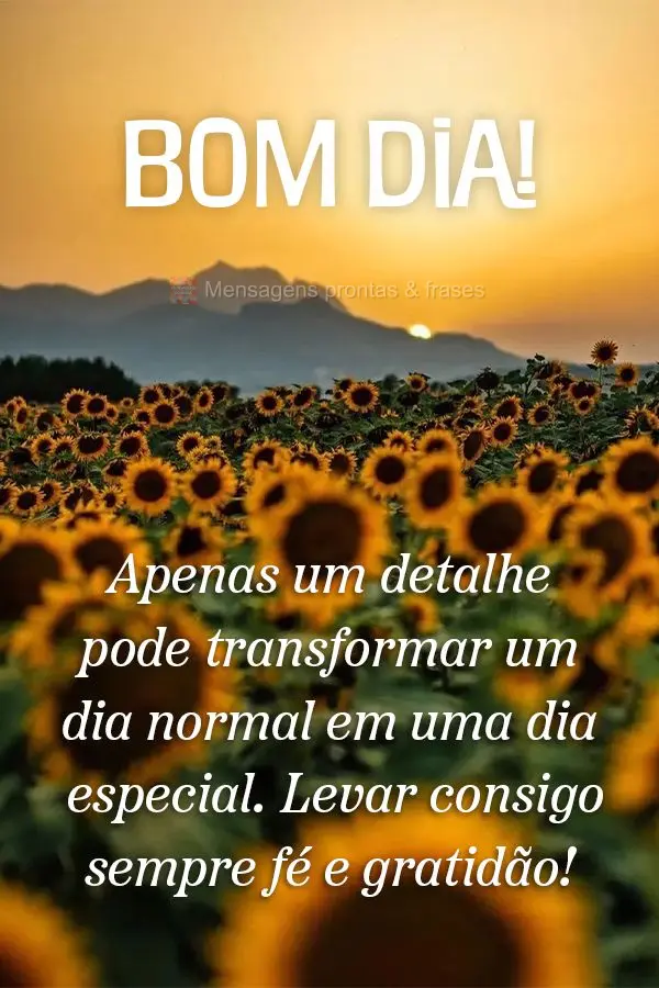 Apenas um detalhe pode transformar um dia normal em uma dia especial. Levar consigo sempre fé e gratidão! Bom dia!