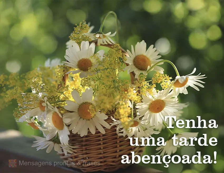 Tenha uma tarde abençoada!