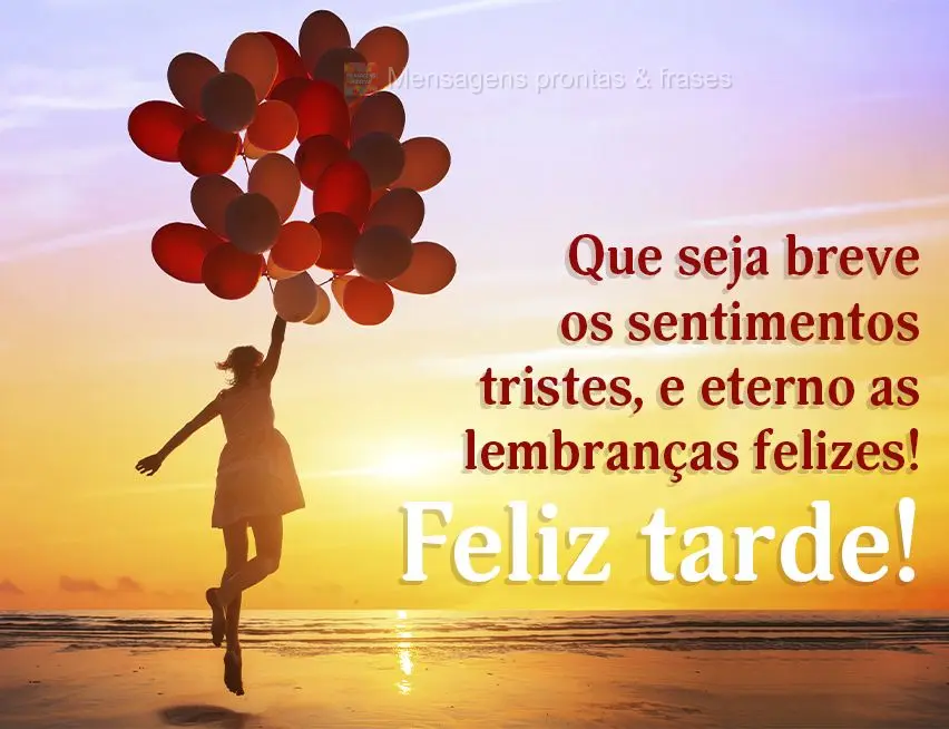 Que sejam breves os sentimentos tristes e eternas as lembranças felizes! Feliz tarde!
