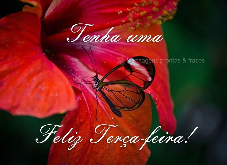 Tenha uma Feliz Terça-feira!