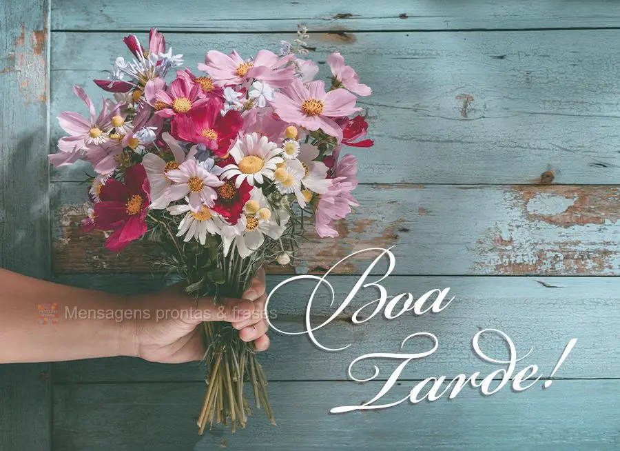 Boa tarde!