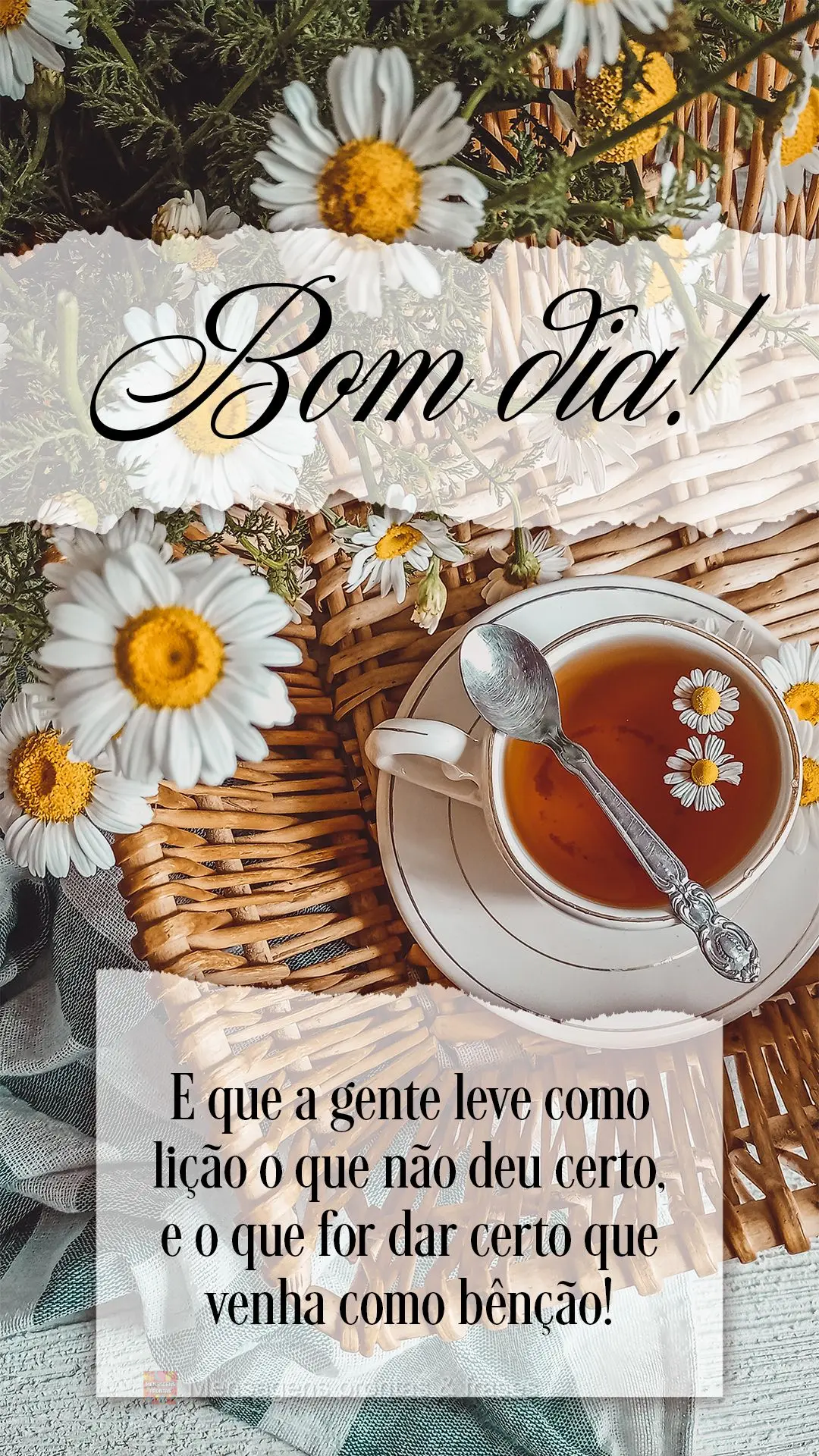 E que a gente leve como lição o que não deu certo, e o que for dar certo que venha como bênção! Bom dia! 