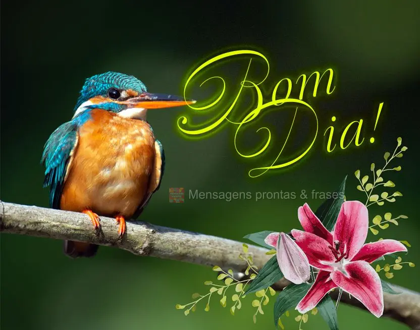 Bom dia (Novos) - Página 18 | Mensagens prontas & Frases