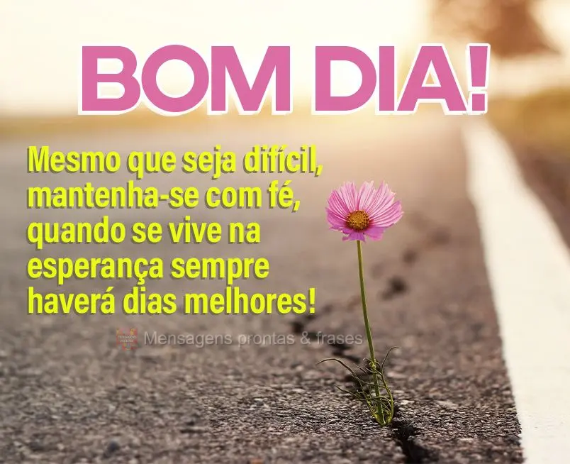 Bom dia (Novos) - Página 16 | Mensagens prontas & Frases