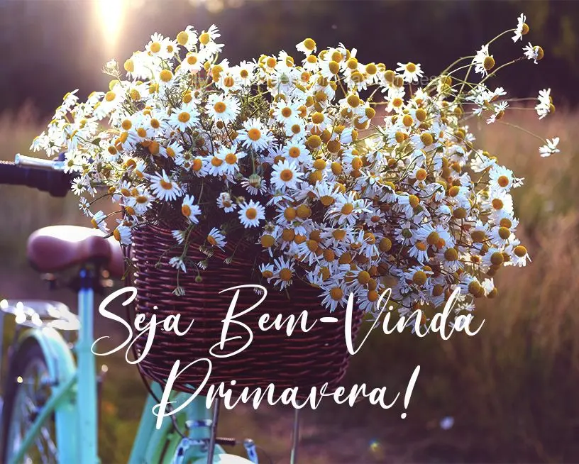 Primavera (Novos) | Mensagens prontas & Frases para status