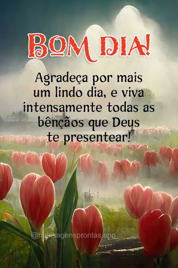 Bom dia (Novos) - Página 16 | Mensagens prontas & Frases