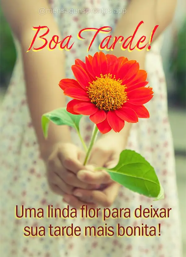  Uma linda flor para deixar sua tarde mais bonita! Boa tarde!