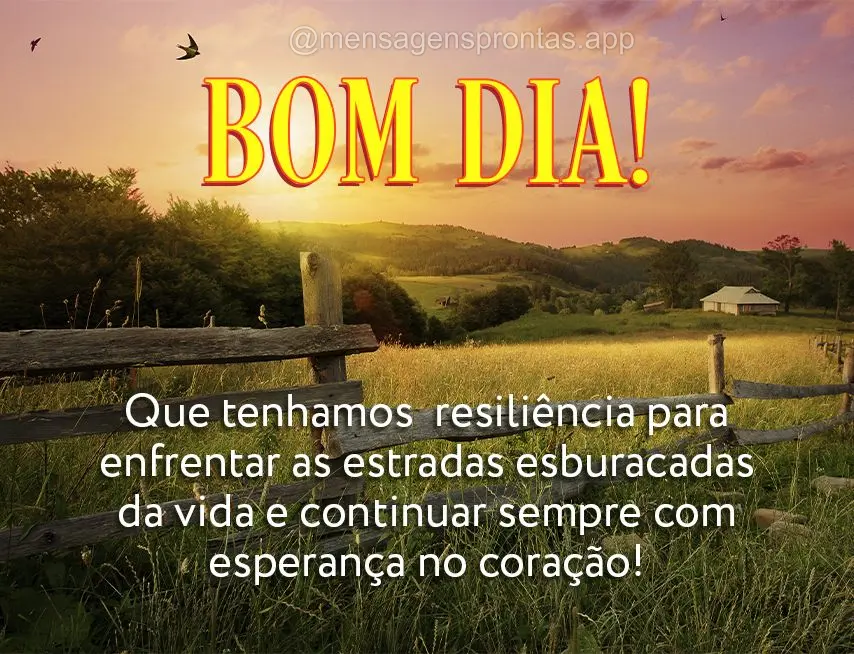 Bom dia (Novos) - Página 12 | Mensagens prontas & Frases