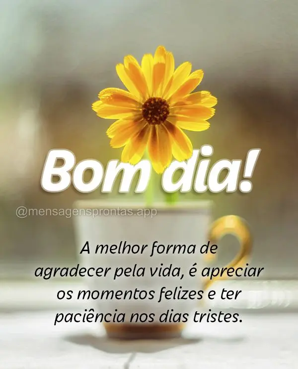 A melhor forma de agradecer pela vida, é apreciar os momentos felizes e ter paciência nos dias tristes. Bom dia!