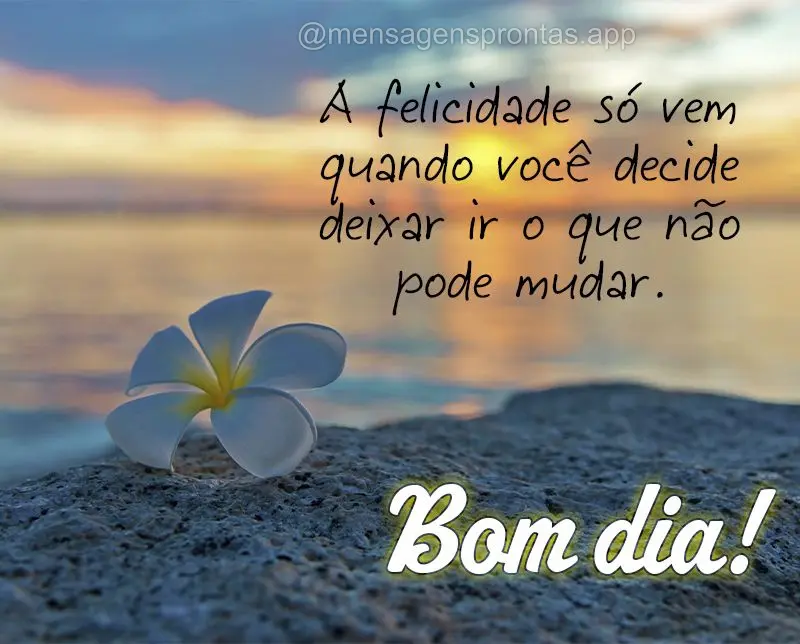 A felicidade só vem quando você decide deixar ir o que não pode mudar. Bom dia!