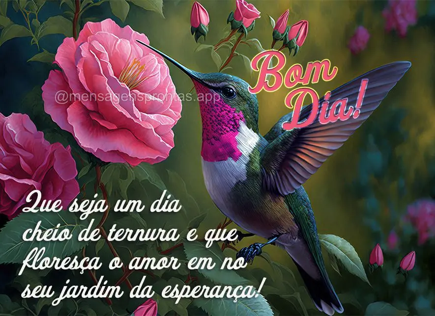 Bom dia (Mais compartilhados) - Página 84