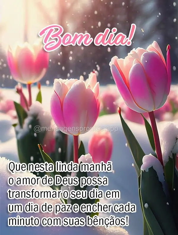 Bom dia (Mais compartilhados) - Página 13