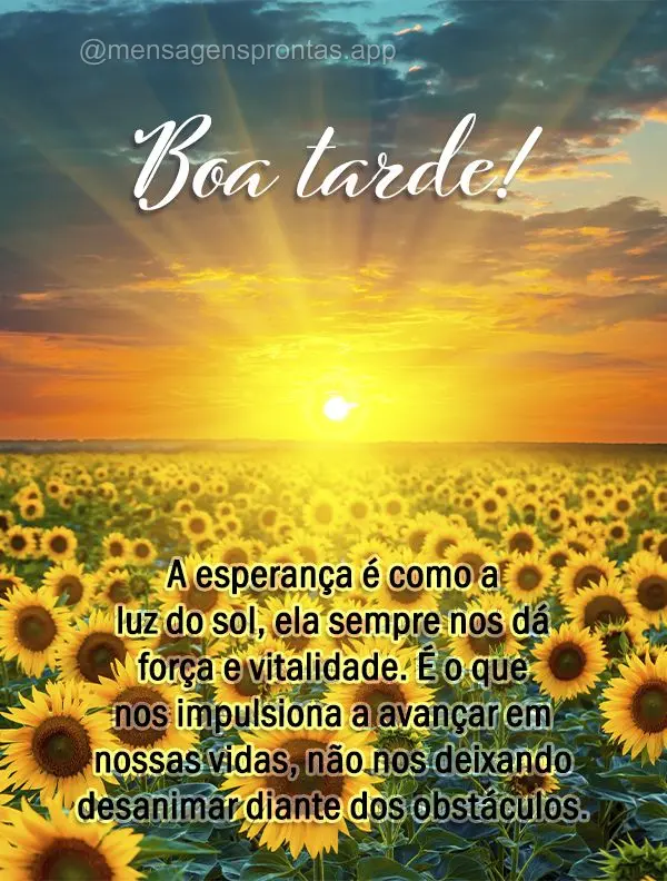 A esperança é como a luz do sol, ela sempre nos dá força e vitalidade. É o que nos impulsiona a avançar em nossas vidas, não nos deixando desanima...