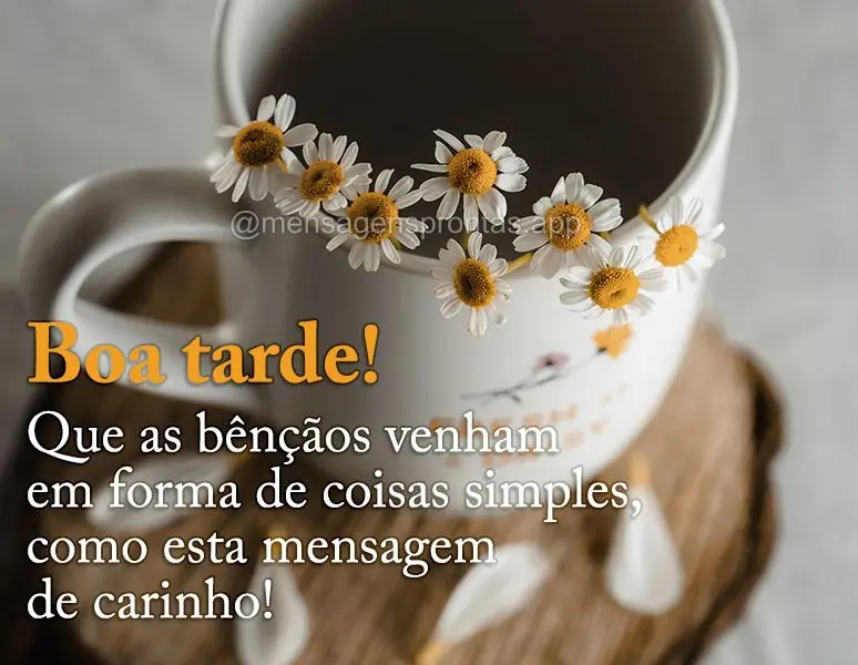 Que as bênçãos venham em forma de coisas simples, como esta mensagem de carinho! Boa tarde!