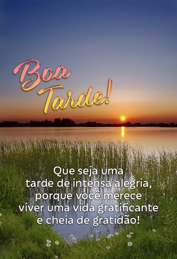 Que seja uma tarde de intensa alegria, porque você merece viver uma vida gratificante e cheia de gratidão! Boa tarde!