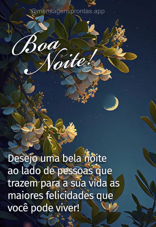 Desejo uma bela noite ao lado de pessoas que trazem para a sua vida as maiores felicidades que você pode viver! Boa noite! 