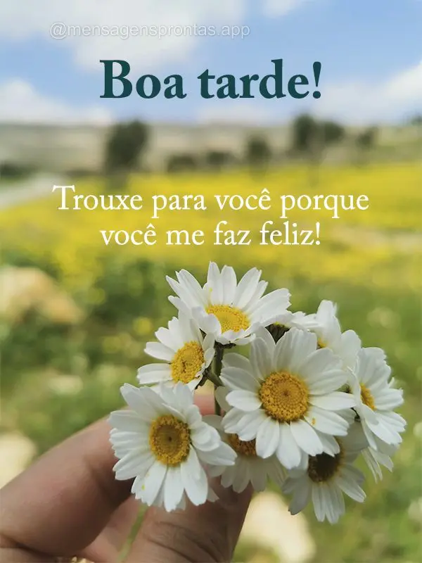 Trouxe para você porque você me faz feliz! Boa tarde!