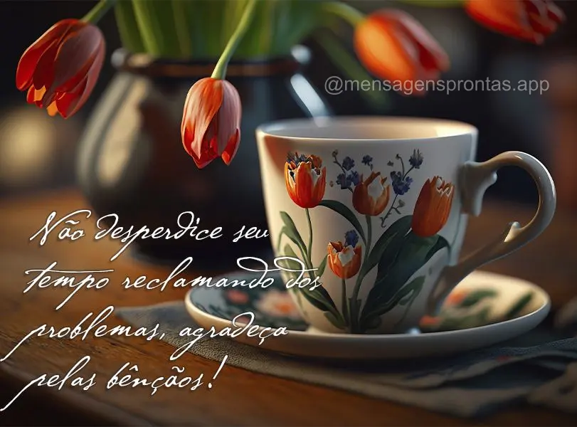Não desperdice seu tempo reclamando dos problemas, agradeça pelas bênçãos!