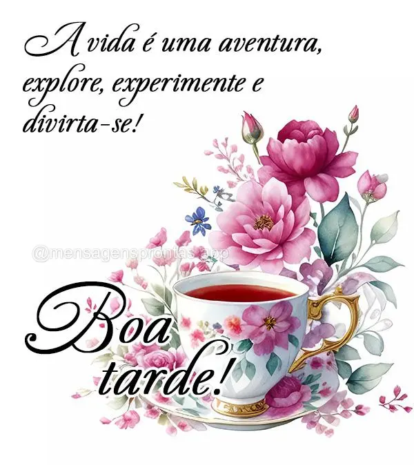 A vida é uma aventura - explore, experimente e divirta-se! Boa tarde!