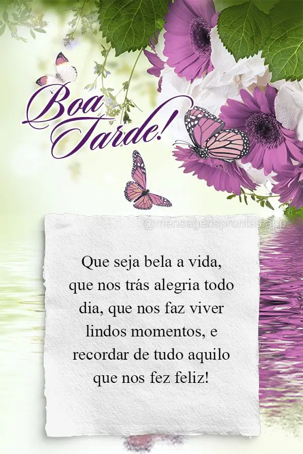 Que seja bela a vida, que nos trás alegria todo dia, que nos faz viver lindos momentos, e poder de tudo aquilo que nos fez feliz! Boa tarde!