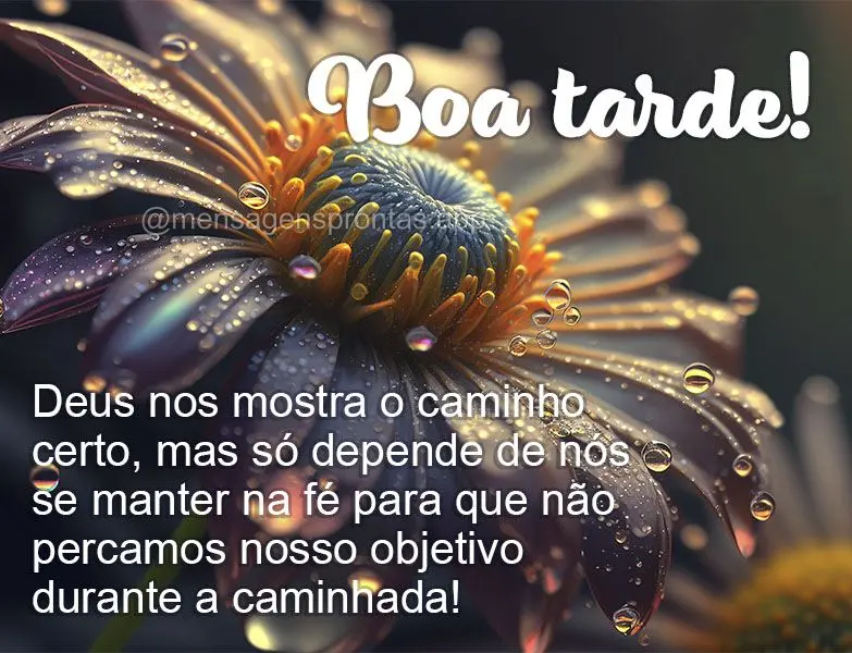 Deus nos mostra o caminho certo, mas só depende de nós se manter na fé para que não percamos nosso objetivo durante a caminhada! Boa tarde!