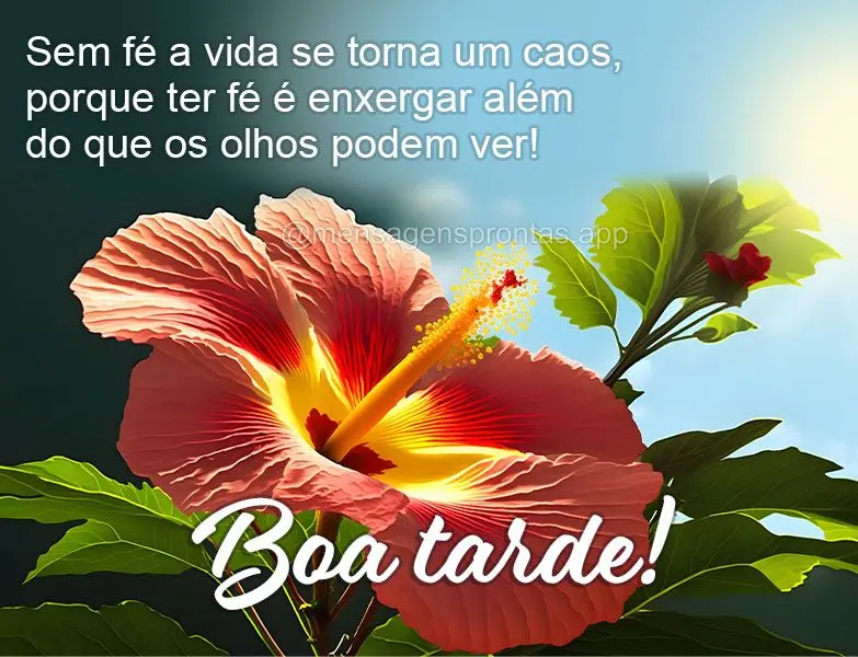 Sem fé a vida se torna um caos, porque ter fé é enxergar além do que os olhos podem ver! Boa tarde!