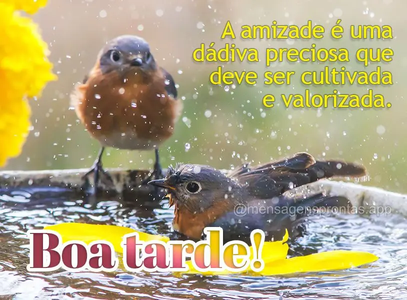 A amizade é uma dádiva preciosa que deve ser cultivada e valorizada. Boa tarde!