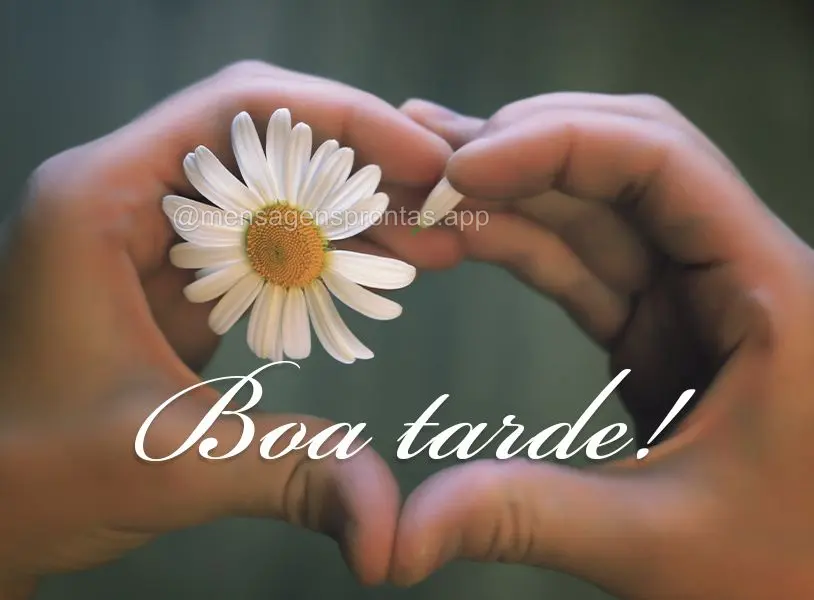Boa tarde!