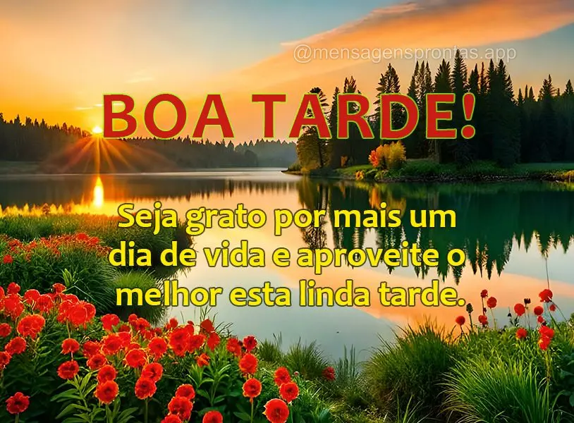 Seja grato por mais um dia de vida e aproveite o melhor esta linda tarde. Boa tarde!