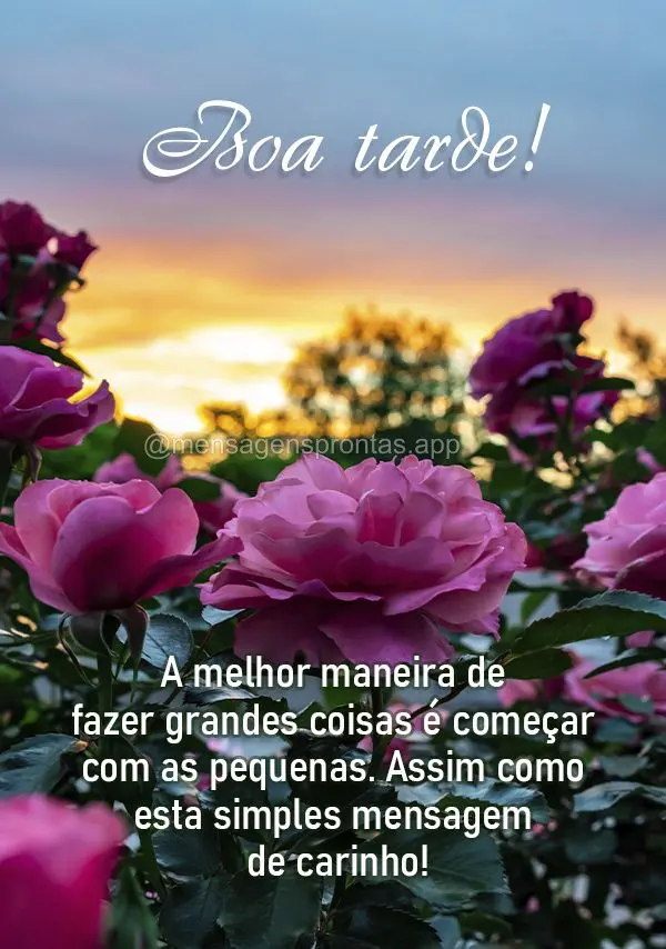 A melhor maneira de fazer grandes coisas é começar com as pequenas. Assim como esta simples mensagem de carinho! Boa tarde!