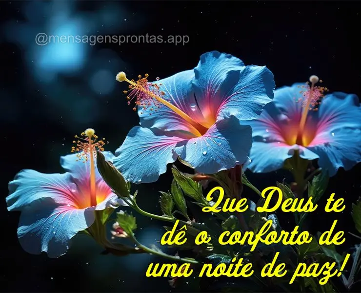 Que Deus te dê o conforto de uma noite de paz! 