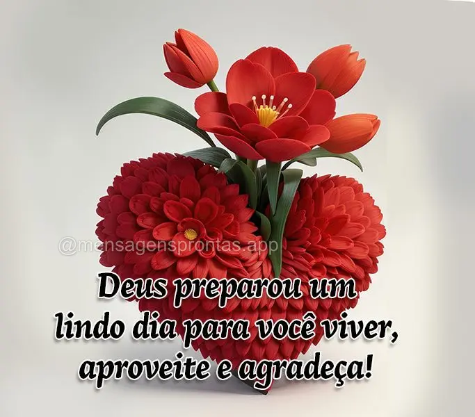 Deus preparou um lindo dia para você viver, aproveite e agradeça!