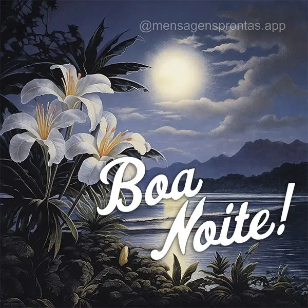 Boa noite!