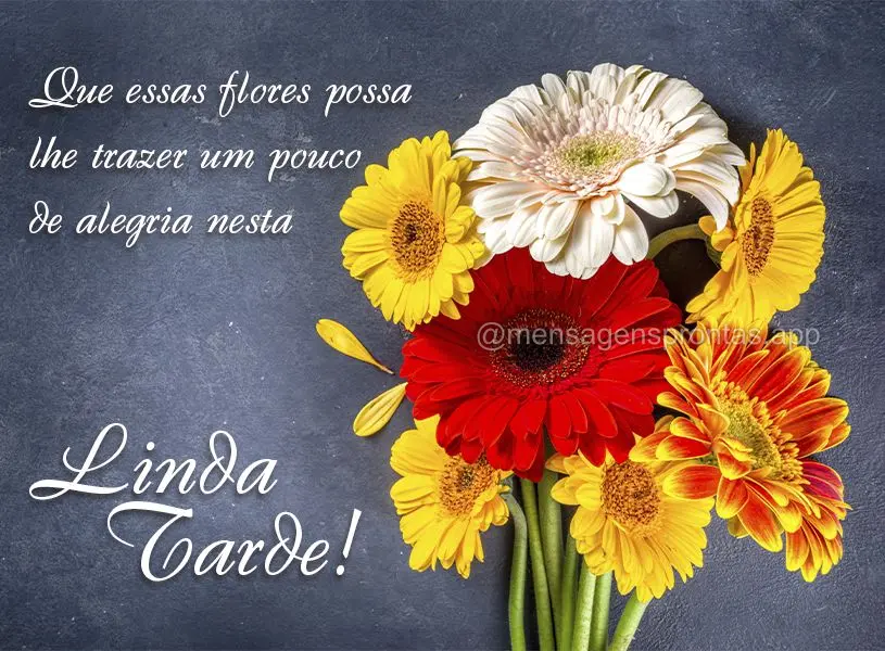 Que essas flores possa lhe trazer um pouco de alegria nesta linda tarde!