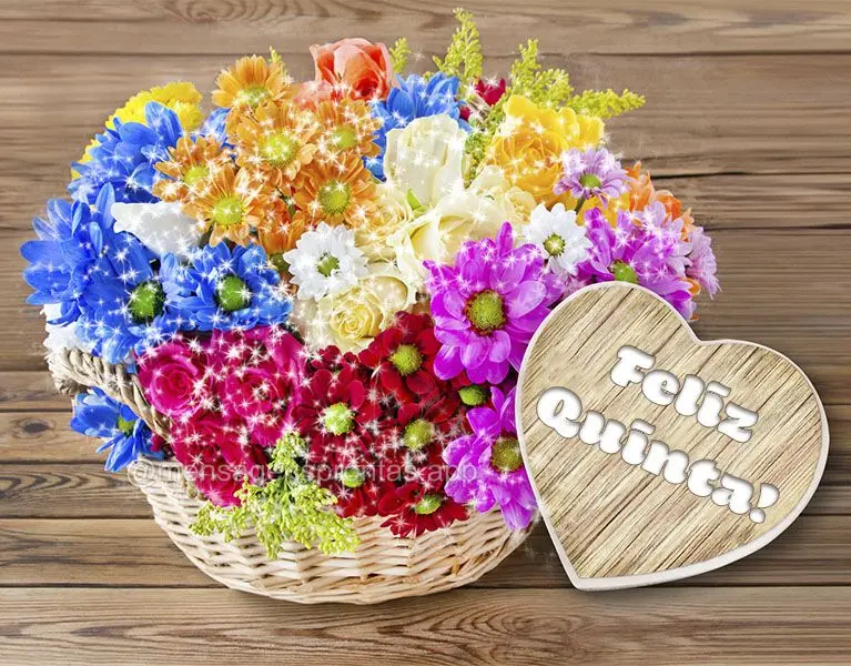 Feliz Quinta!