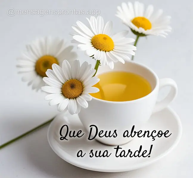 Que Deus abençoe a sua tarde!